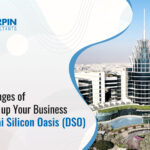 Dubai Silicon Oasis company setup