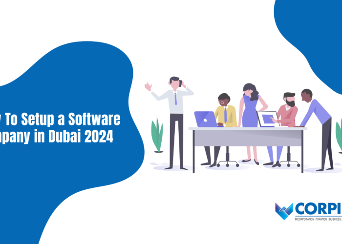 How to Setup a Software Company in Dubai 2024