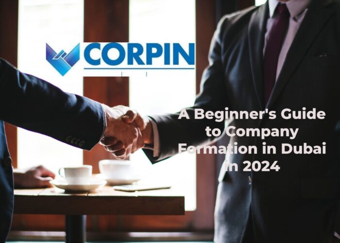 A Beginner's Guide to Company Formation in Dubai in 2024