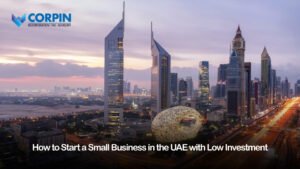 Low investment business ideas in UAE 2026